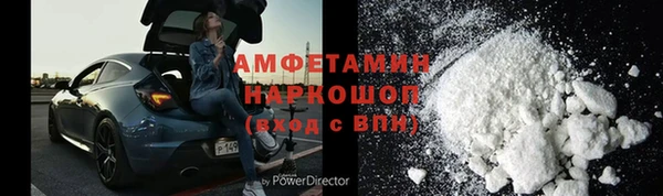 прущие грибы Баксан
