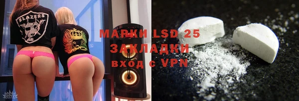 прущие грибы Баксан