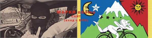 прущие грибы Баксан