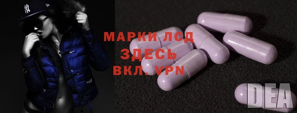 прущие грибы Баксан
