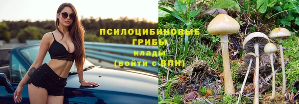 прущие грибы Баксан