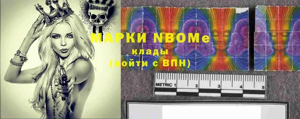 прущие грибы Баксан