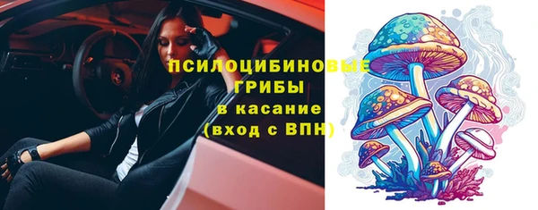 прущие грибы Баксан