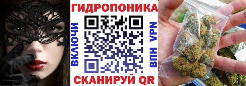 Каннабис индика Макарьев